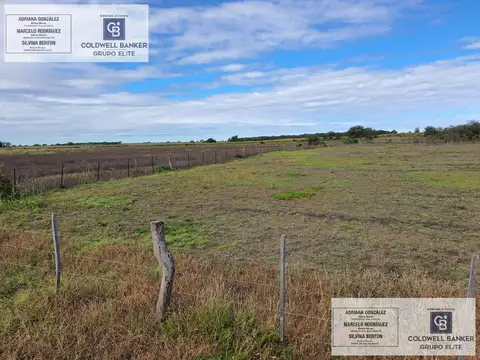Terreno en Venta 117  mts Frente
