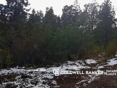 Aldea del Bosque, El Bolson.