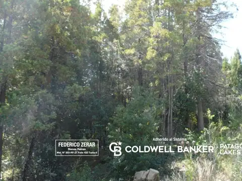 Terreno en Venta en El Bolson, USD 60.000