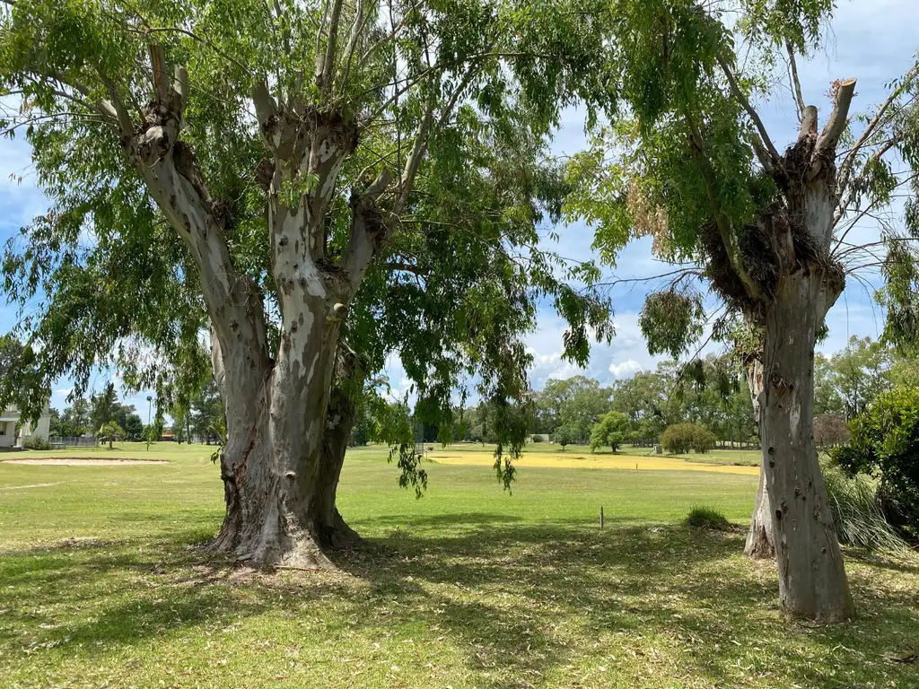 ALQUILER ANUAL AMOBLADO COUNTRY EL BOSQUE 3 HAB 2 BAÑOS ARS1.200.000 VISTA AL GOLF - Foto 26