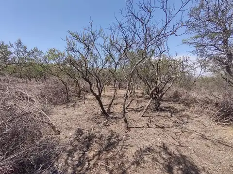 Corralito, Luyaba, Córdoba lote 2 Has a 200 mts al E ruta 14