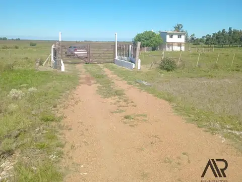 Camino