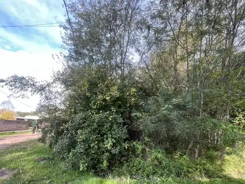 Terreno en Venta de 333,0 m2