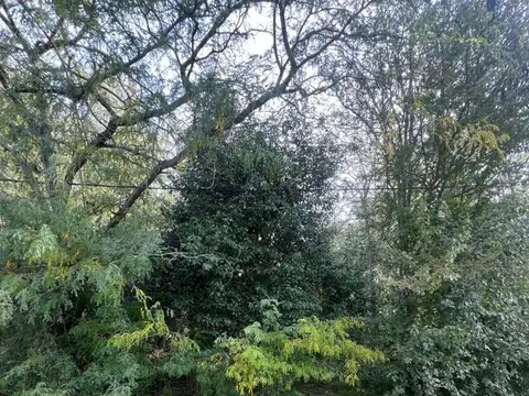 Terreno en Venta de 333,0 m2