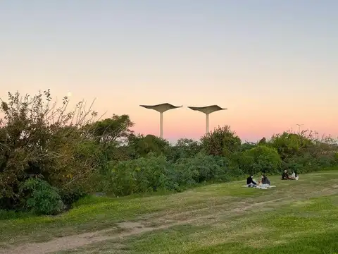 Vergara al 500