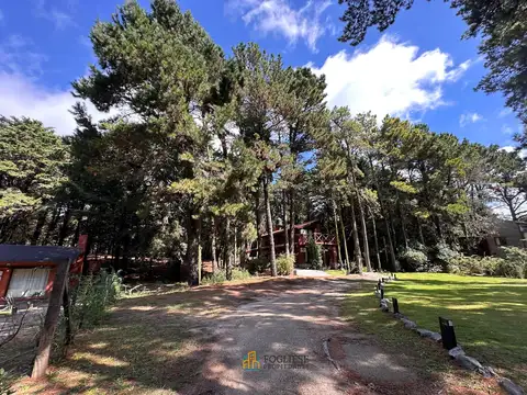 Los Pinos