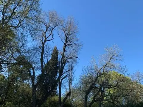 Humboldt e/ Bustamante y Quiro