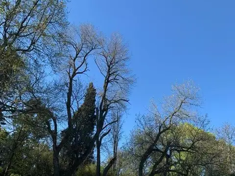 Humboldt e/ Bustamante y Quiro