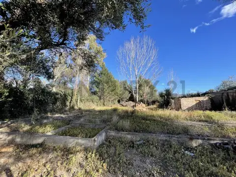 ROQUE SAENZ PEÑA 4400, Piso 0