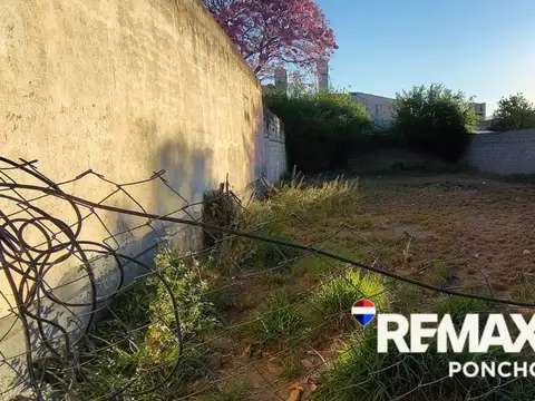 Juan José Paso 100