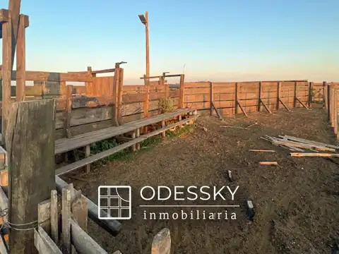 Campo en Venta Ganadero