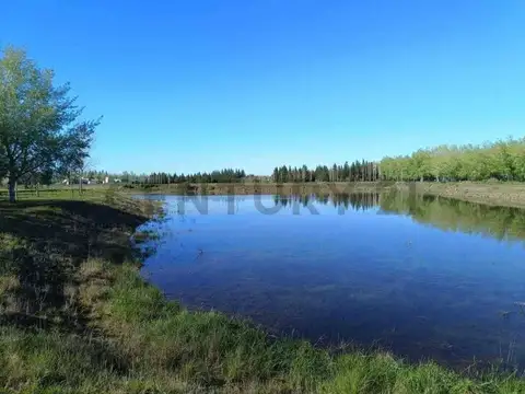El retiro , Piso 0