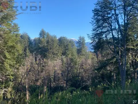 Terreno en Venta de 3685,0 m2