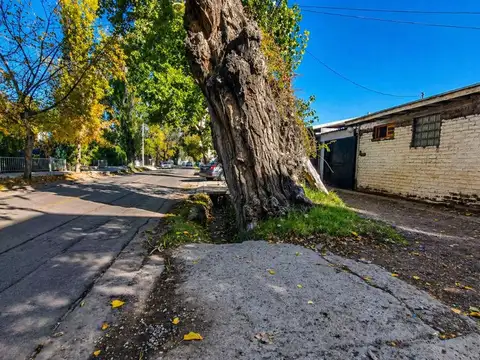 VENTA TERRENO  CHACRAS DE CORIA – SOBRE VIAMONTE 