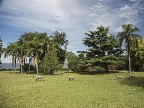 Terreno en Venta en Montevideo, USD 495.000