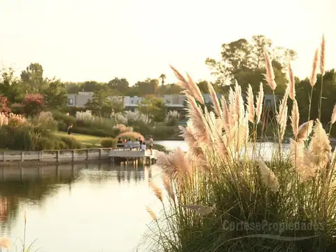 Barrio San Matias, Area 5 a la laguna