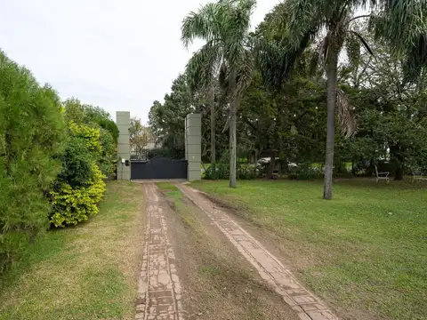 Almafuerte 1600