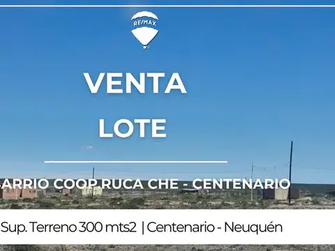 LOTE 7 MZA 894 - CENTENARIO - NQN 