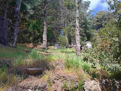 Depto Tipo Casa en Venta 5 años