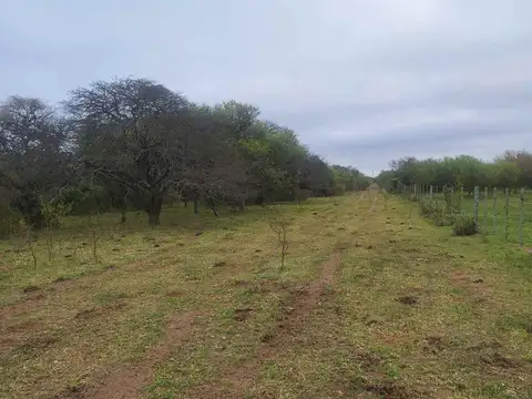 Zona Rural Nelson 100
