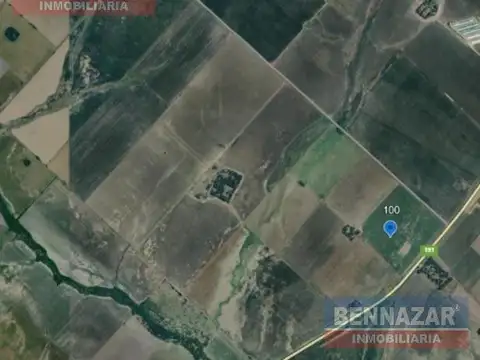 Venta Campo 100 Hectáreas en Doyle