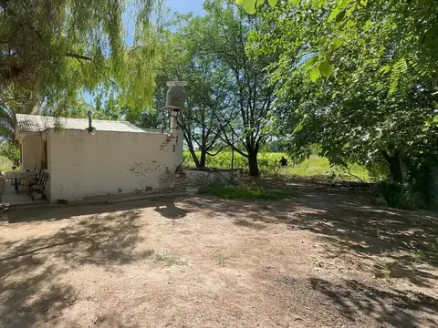 VENTA FINCA PRODUCTIVA - SAN MARTIN, MENDOZA.
