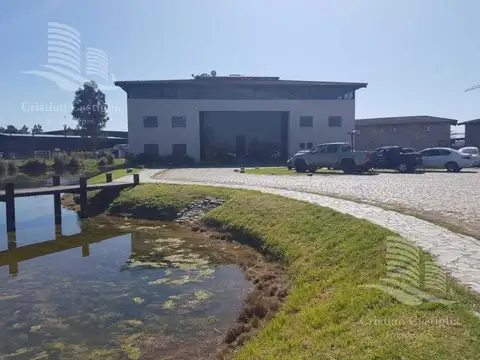Oficina en Alquiler A Estrenar