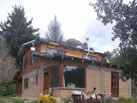 de las margaritas 100