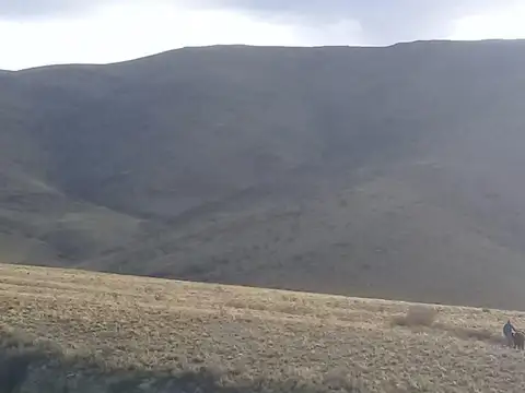 Punta del Agua