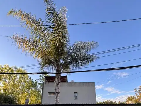 Alquiler Departamento 3 ambientes con terraza