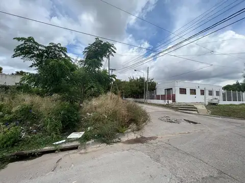 Sarmiento Y Constancio Silvano