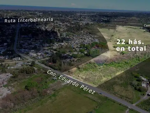 VENTA DE TERRENO DE 22 HÁS - EL PINAR NORTE 