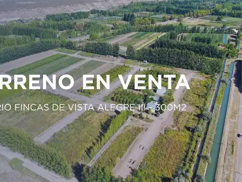 Terreno en Venta en Vista Alegre Norte, Confluencia