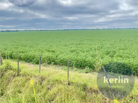 Campo Zona Norte - 164 HA Agricolas - San Nicolas De Los Arroyos