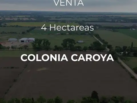 Venta | 4 hectáreas | colonia caroya