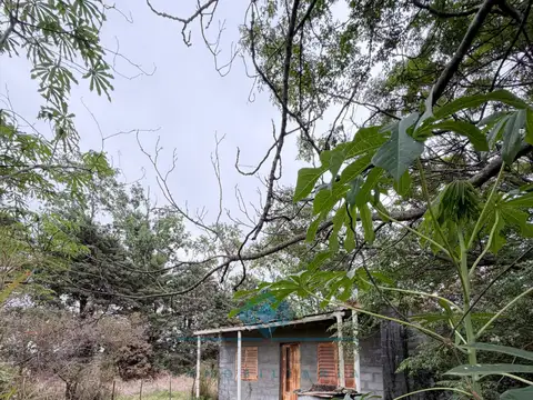 VENTA | 4 HECTÁREAS | COLONIA CAROYA