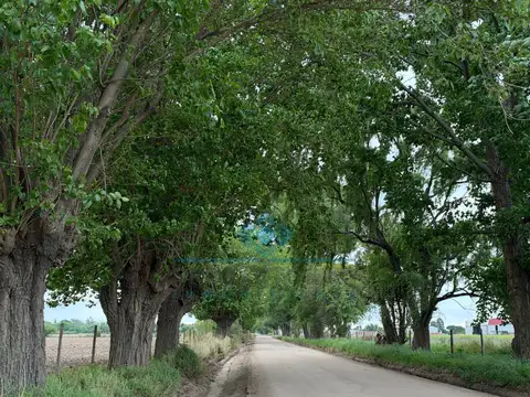 Quinta en Venta en Colonia Caroya, USD 140.000