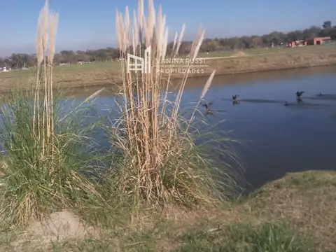 Terreno en Venta 42  mts Frente