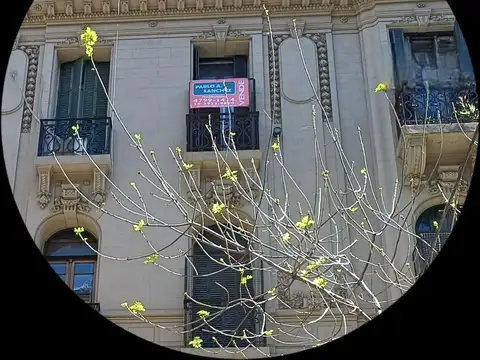 Departamento 5amb mas Escritorio. Balcón.Dep-Serv y Lavadero