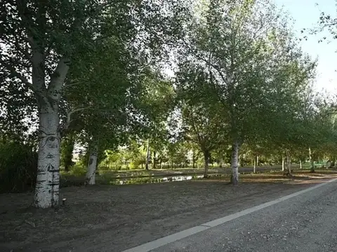 Ruta Nacional A012 200