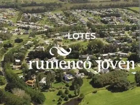 LOTE RUMENCO JOVEN  OFERTA 