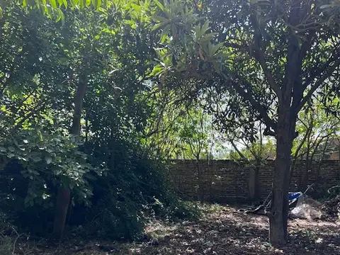 Bv. San Martín e Italia 100