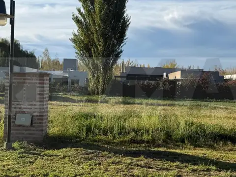 Terreno en Venta en General Roca, USD 38.000