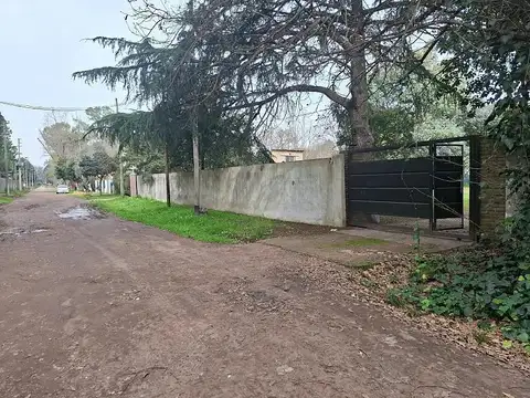 Manuel Alberti al 800