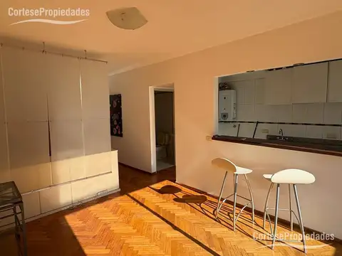 Departamento - Palermo contra frente, amplio pulmón, hermoso balcon, mono ambiente
