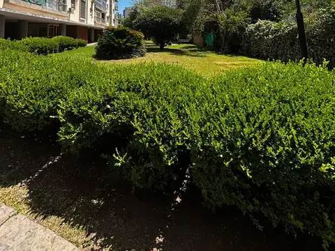 Franklin Delano Roosevelt 1700