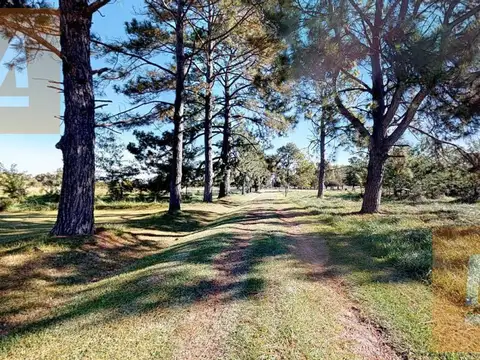 Ruta 11 Km. 26