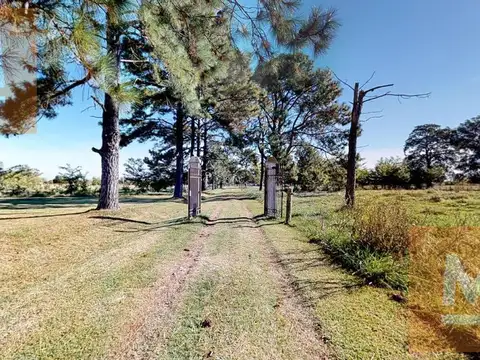 Chacra en venta Ruta Prov. 11