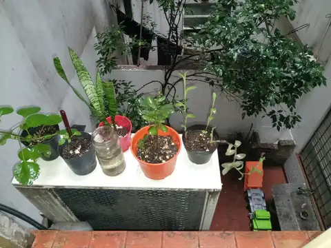 Departamento en Venta Apto profesional