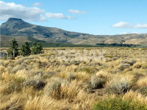 RUTA 61